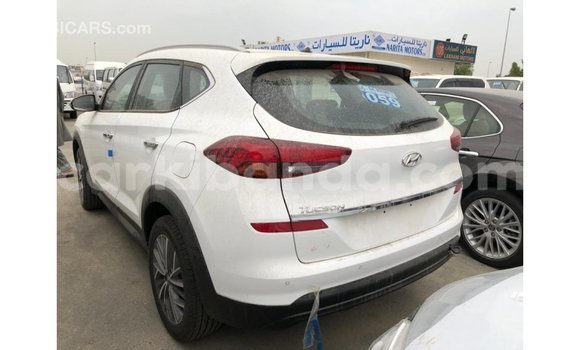Buy Import Hyundai Tucson White Car in Import - Dubai in Uganda Buy Import Hyundai Tucson White Car in Import - Dubai in Uganda