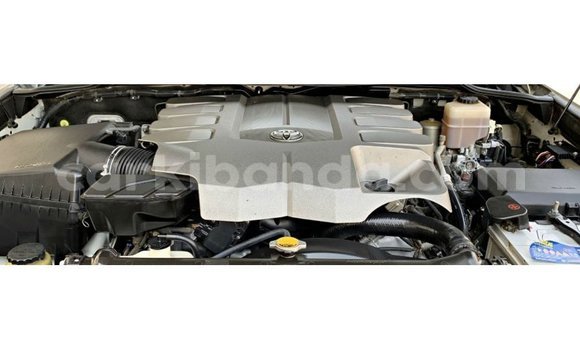 Acheter Import Voiture Toyota Land Cruiser Blanc à Import - Dubai, Ouganda Acheter Import Voiture Toyota Land Cruiser Blanc à Import - Dubai, Ouganda