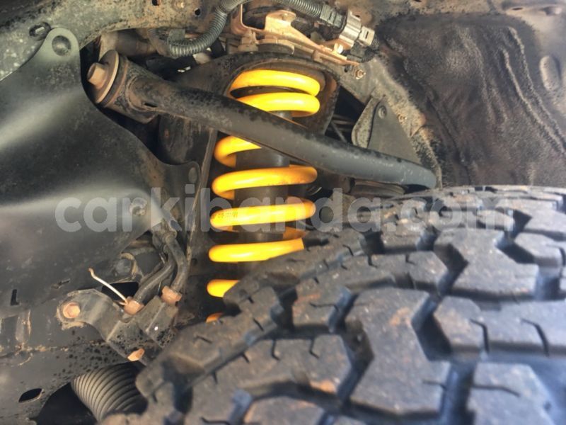 Big with watermark pprdka6