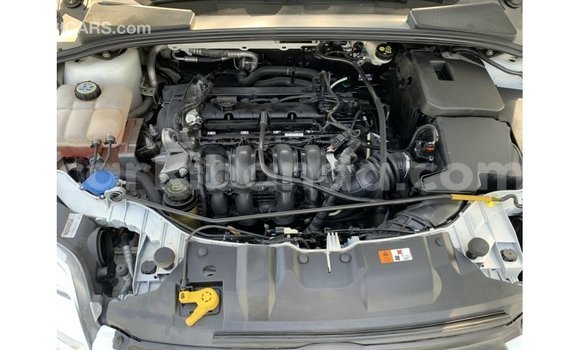 Acheter Import Voiture Ford Focus Blanc à Import - Dubai, Ouganda Acheter Import Voiture Ford Focus Blanc à Import - Dubai, Ouganda