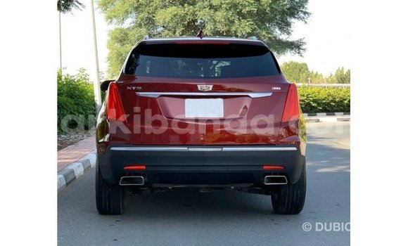 Acheter Import Voiture Cadillac XT5 Rouge à Import - Dubai, Ouganda Acheter Import Voiture Cadillac XT5 Rouge à Import - Dubai, Ouganda
