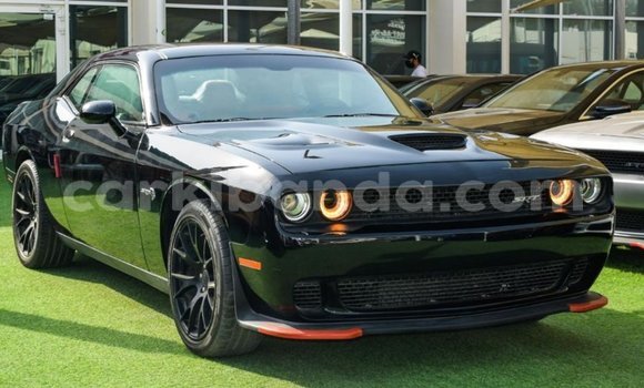 Buy Import Dodge Challenger Black Car in Import - Dubai in Uganda
