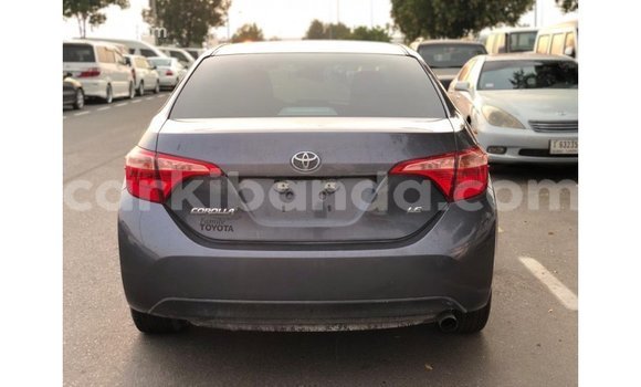 Buy Import Toyota Corolla Other Car in Import - Dubai in Uganda Buy Import Toyota Corolla Other Car in Import - Dubai in Uganda
