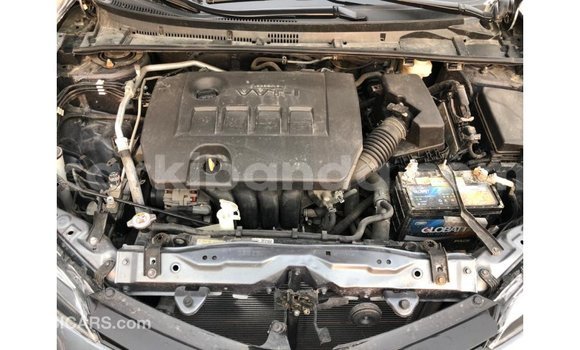 Buy Import Toyota Corolla Other Car in Import - Dubai in Uganda Buy Import Toyota Corolla Other Car in Import - Dubai in Uganda