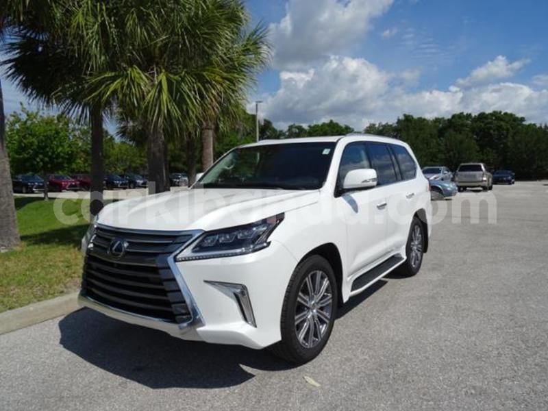 Big with watermark 555599978