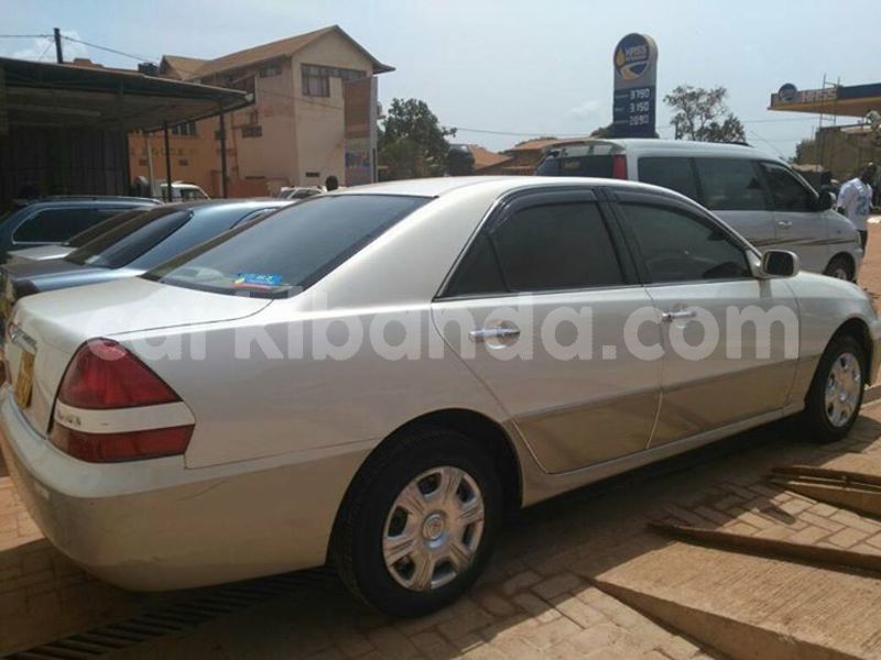 Big with watermark 24959109 1372679829509431 2290911251372580814 o