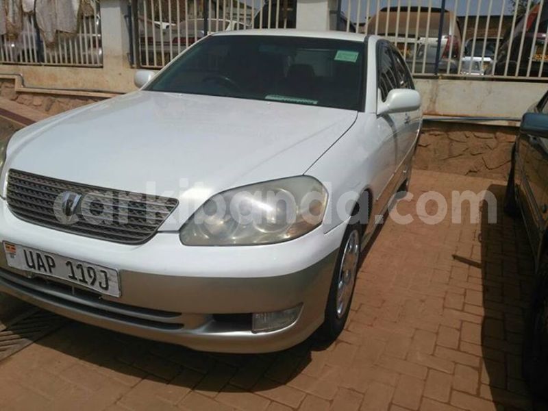 Big with watermark 25075045 1436706473124388 2663118157098388861 o