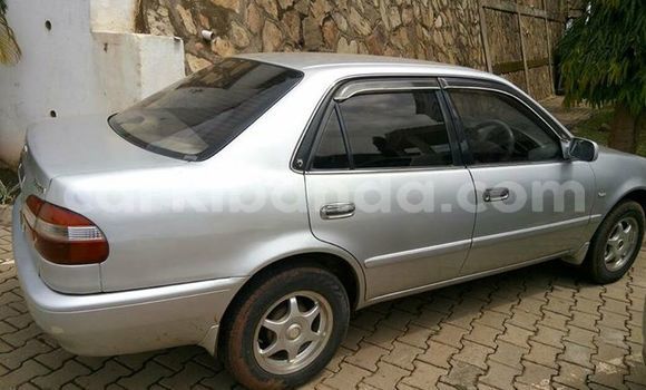 Buy Used Toyota Corolla Silver Car in Kampala in Uganda Buy Used Toyota Corolla Silver Car in Kampala in Uganda