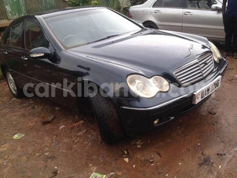 Big with watermark 24959109 1372679829509431 2290911251372580814 o