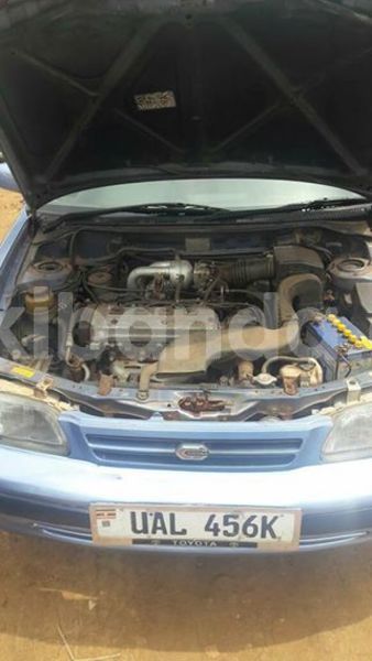 Big with watermark 25075045 1436706473124388 2663118157098388861 o