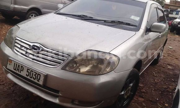 Buy Used Toyota Corolla Silver Car in Kampala in Uganda Buy Used Toyota Corolla Silver Car in Kampala in Uganda