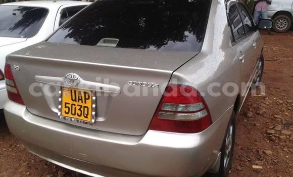 Acheter Occasion Voiture Toyota Corolla Gris à Kampala, Ouganda Acheter Occasion Voiture Toyota Corolla Gris à Kampala, Ouganda