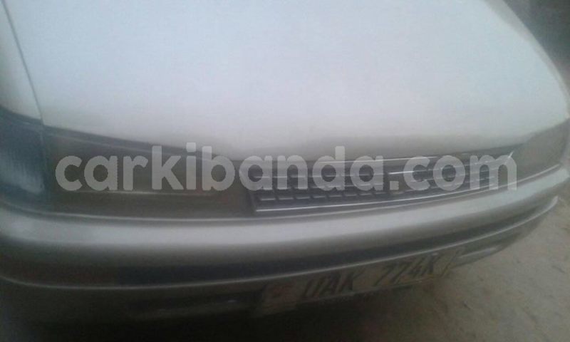 Big with watermark 25075045 1436706473124388 2663118157098388861 o