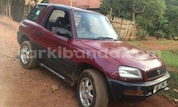 Buy Used Toyota RAV4 Red Car in Kampala in Uganda Buy Used Toyota RAV4 Red Car in Kampala in Uganda
