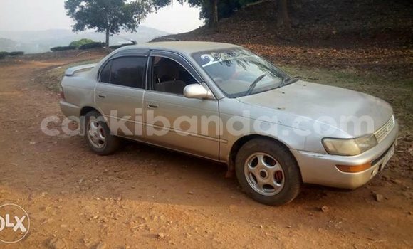 Buy Used Toyota Corolla Silver Car in Kampala in Uganda Buy Used Toyota Corolla Silver Car in Kampala in Uganda