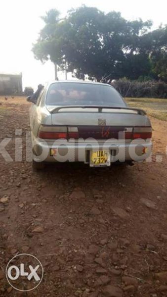 Big with watermark 25075045 1436706473124388 2663118157098388861 o