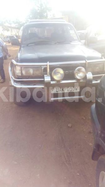 Big with watermark 24959109 1372679829509431 2290911251372580814 o