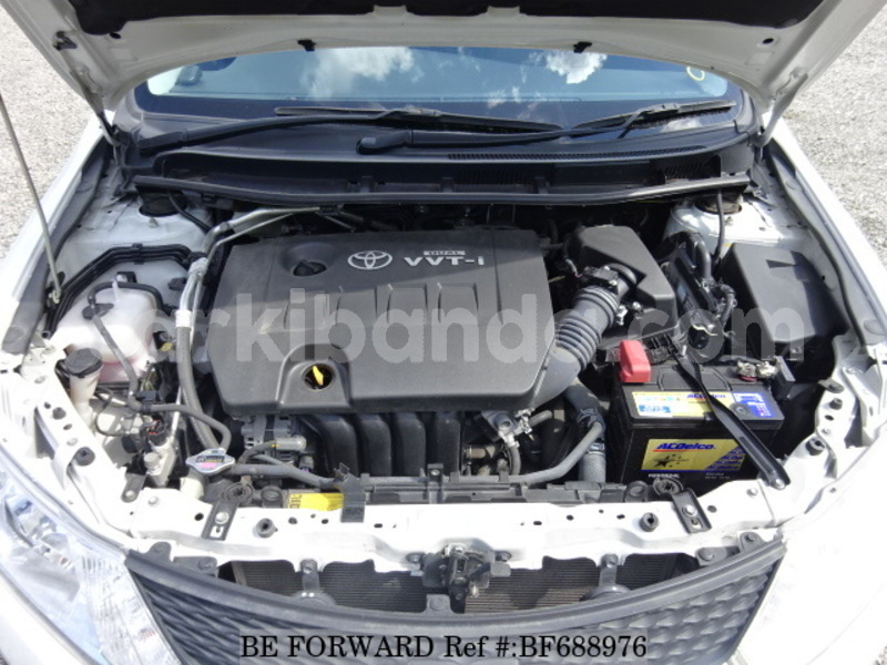 Big with watermark bf688976 71ba98