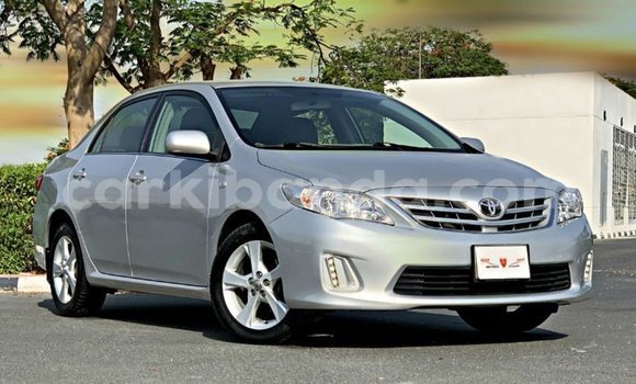 Buy Import Toyota Corolla Other Car in Import - Dubai in Uganda