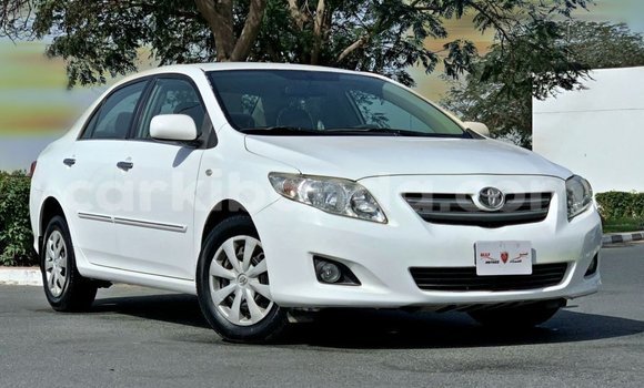 Buy Import Toyota Corolla White Car in Import - Dubai in Uganda