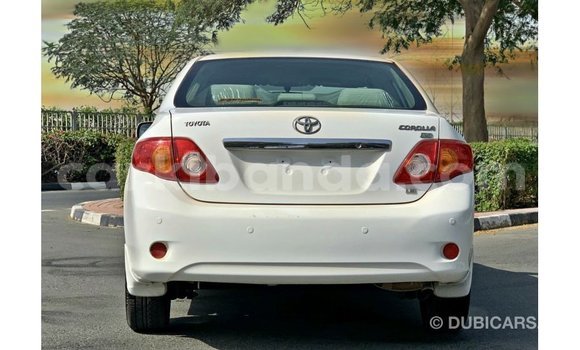 Acheter Import Voiture Toyota Corolla Blanc à Import - Dubai, Ouganda Acheter Import Voiture Toyota Corolla Blanc à Import - Dubai, Ouganda