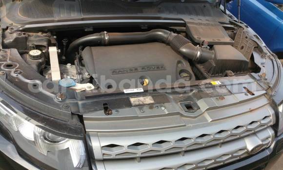 Buy Used Rover 201 Black Car in Kampala in Uganda