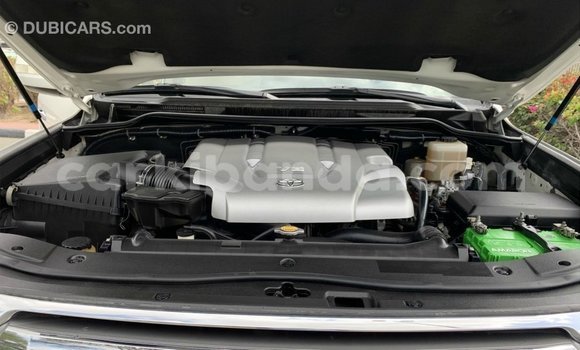 Acheter Import Voiture Toyota Land Cruiser Blanc à Import - Dubai, Ouganda Acheter Import Voiture Toyota Land Cruiser Blanc à Import - Dubai, Ouganda