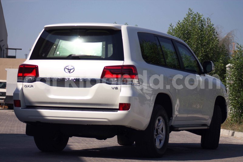 Big with watermark img 5912