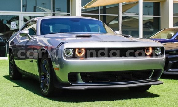 Buy Import Dodge Challenger Other Car in Import - Dubai in Uganda