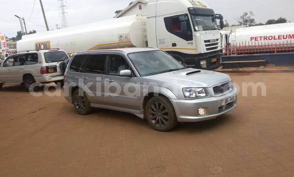 Buy Used Subaru Forester Silver Car in Kampala in Uganda Buy Used Subaru Forester Silver Car in Kampala in Uganda