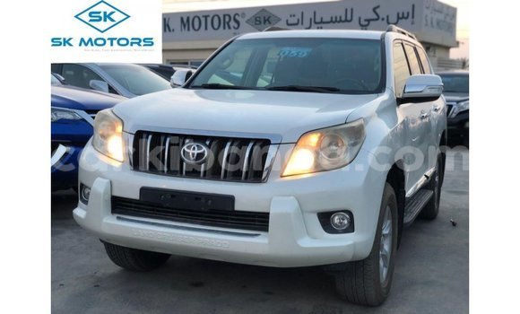 Buy Import Toyota Prado White Car in Import - Dubai in Uganda