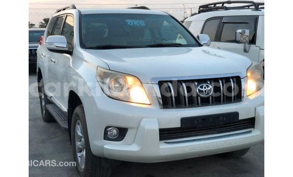 Buy Import Toyota Prado White Car in Import - Dubai in Uganda Buy Import Toyota Prado White Car in Import - Dubai in Uganda