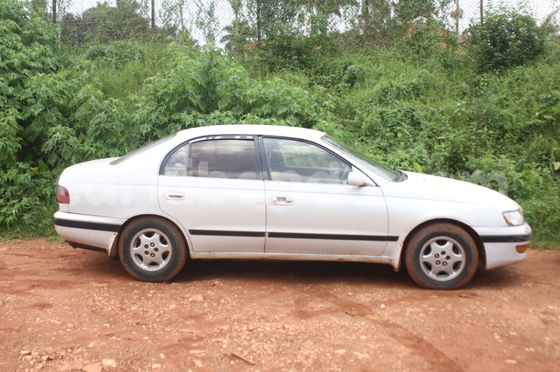 Big with watermark img 3372 1 