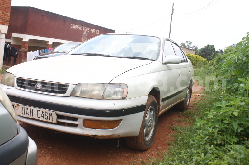 Big with watermark img 3371 1 