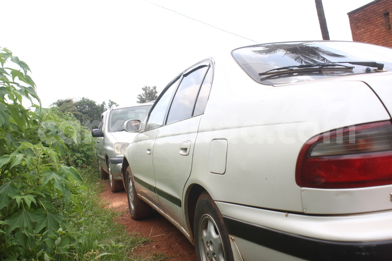 Big with watermark img 3373 1 