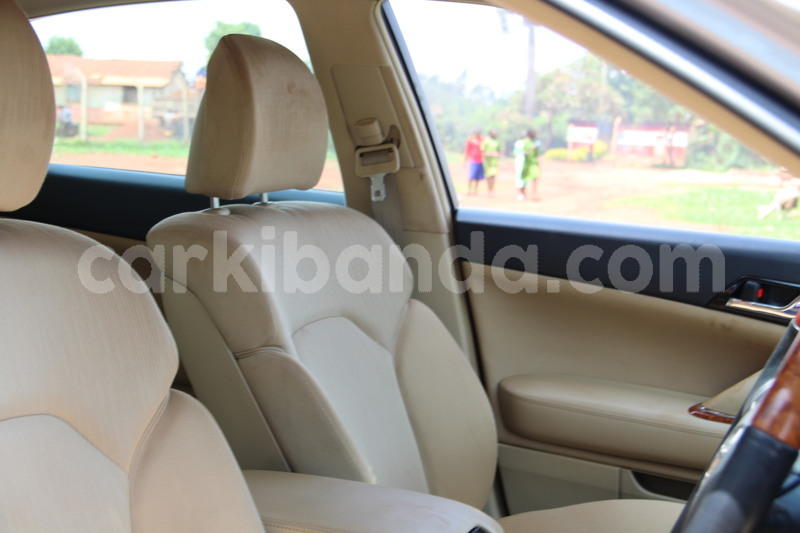 Big with watermark img 6494