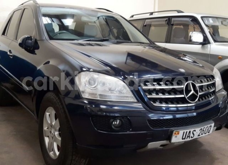 Big with watermark ml1