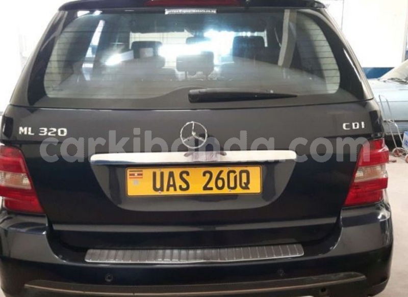 Big with watermark ml4