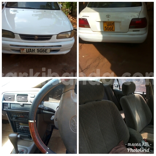 Big with watermark photogrid 1515691201476