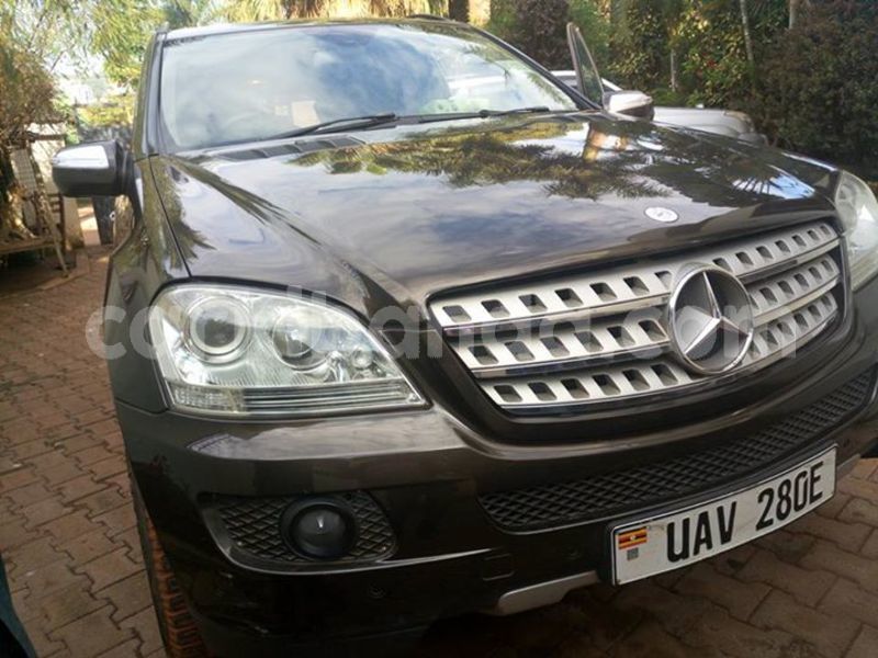 Big with watermark 30629329 194112211393369 244064733525704704 n