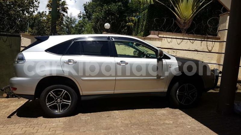 Big with watermark 30629329 194112211393369 244064733525704704 n