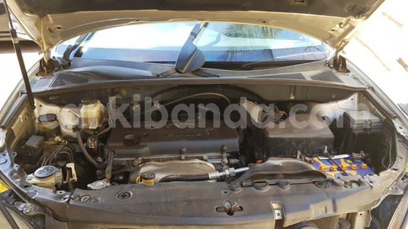 Big with watermark 30705011 1080215435450894 1812932972978896896 n