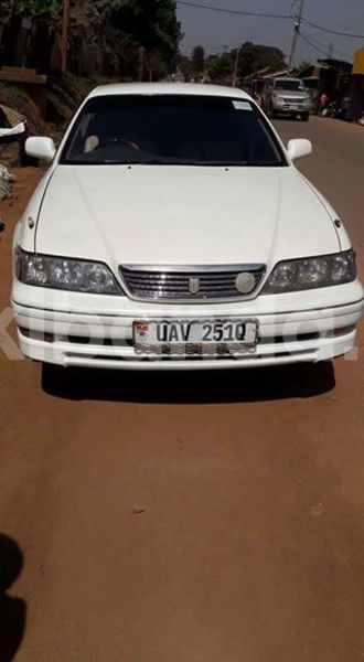 Big with watermark 30623955 578122035882356 6857030771144654848 n