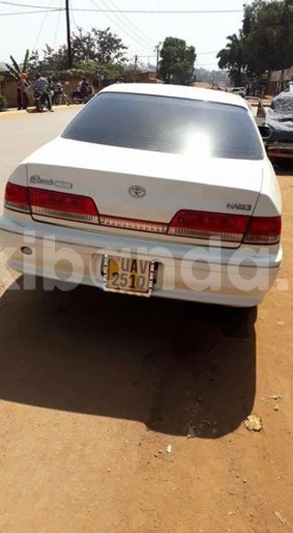 Big with watermark 30629329 194112211393369 244064733525704704 n