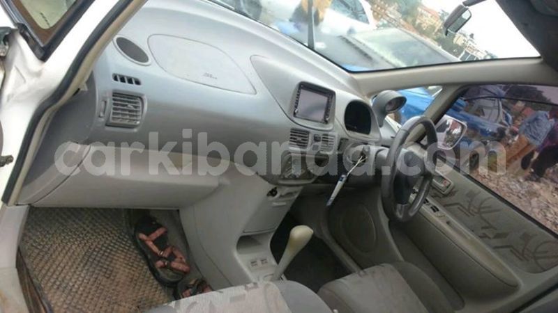 Big with watermark 30629329 194112211393369 244064733525704704 n