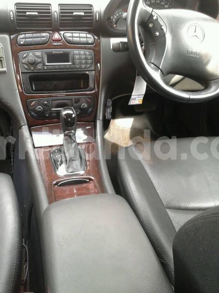 Big with watermark 30705011 1080215435450894 1812932972978896896 n