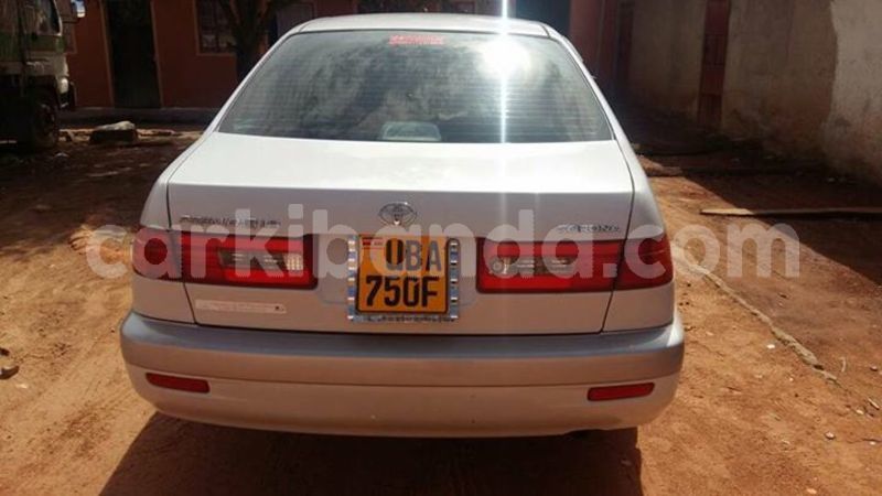 Big with watermark 30623955 578122035882356 6857030771144654848 n