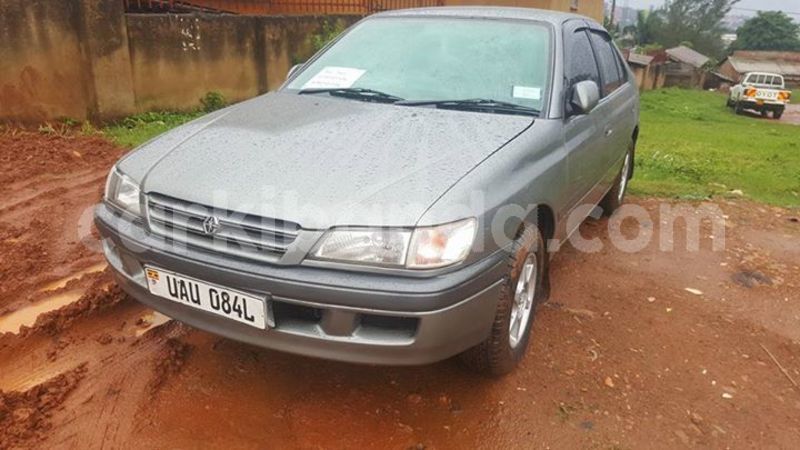 Big with watermark 30623955 578122035882356 6857030771144654848 n