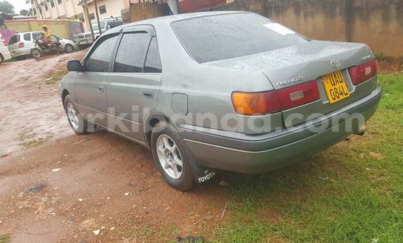 Acheter Occasion Voiture Toyota Premio Gris à Kampala, Ouganda Acheter Occasion Voiture Toyota Premio Gris à Kampala, Ouganda