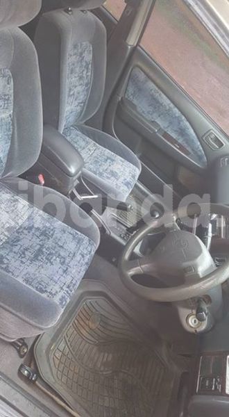 Big with watermark 30705011 1080215435450894 1812932972978896896 n